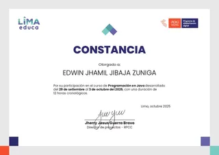 Constancia de participación Skill — Curso Programación en Java